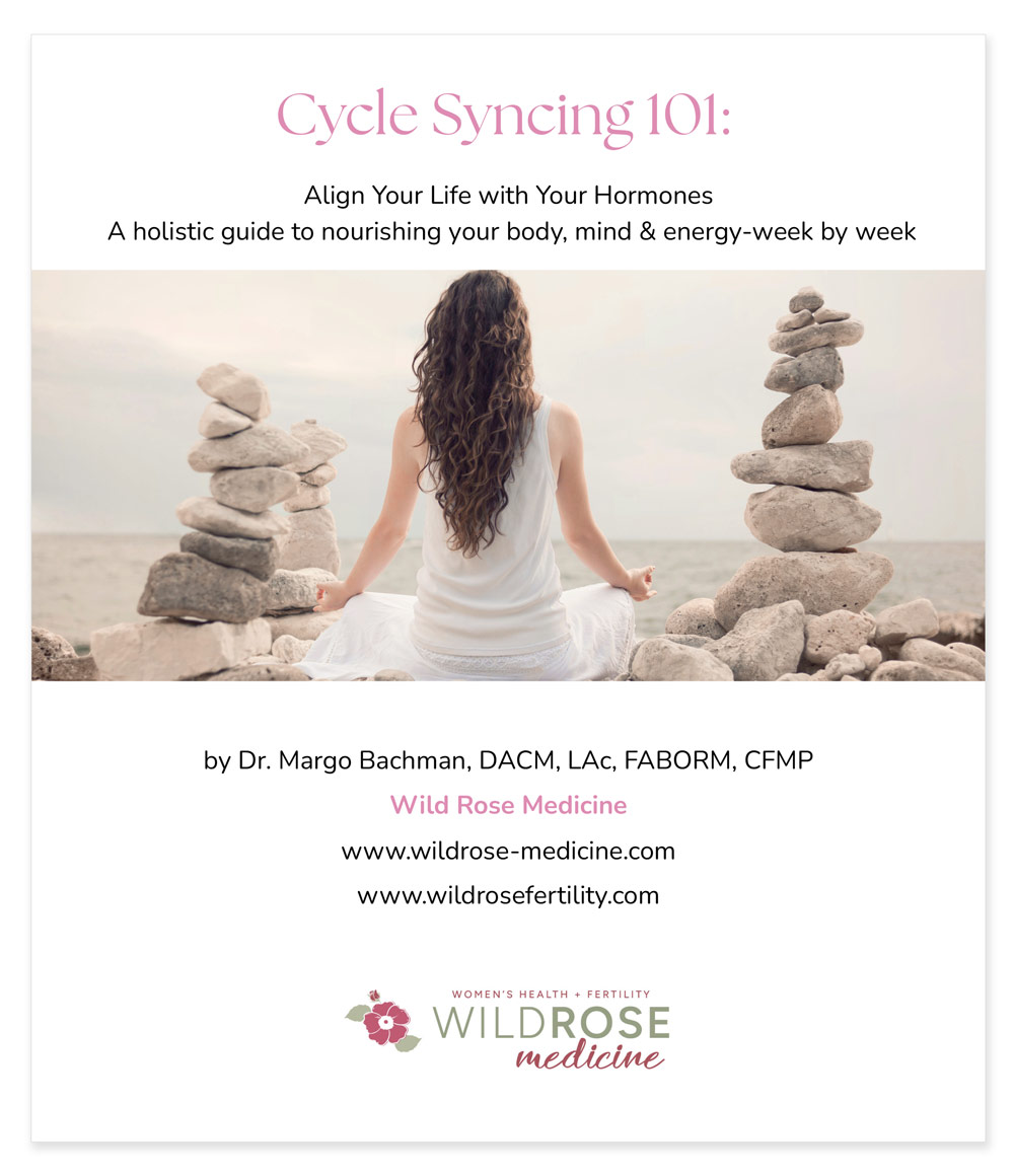Cycle Syncing 101 eBook cover