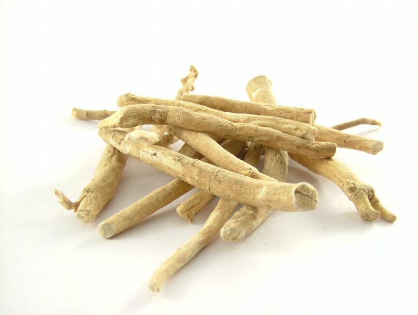 Ashwagandha ayurvedic herb