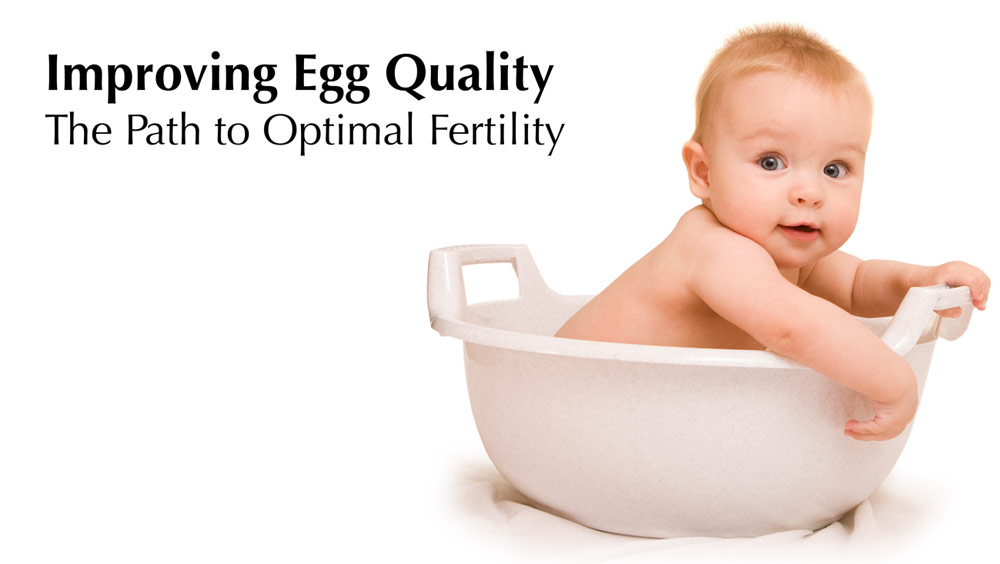 Improving Egg Quality - the path to optimal fertility