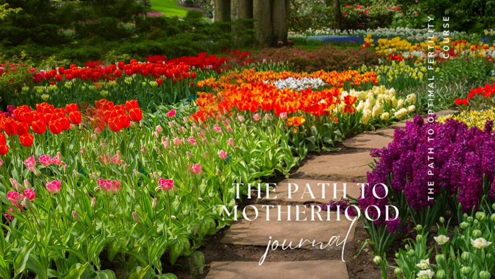 The Path to Motherhood Journal - The Path to Optimal Fertility Course