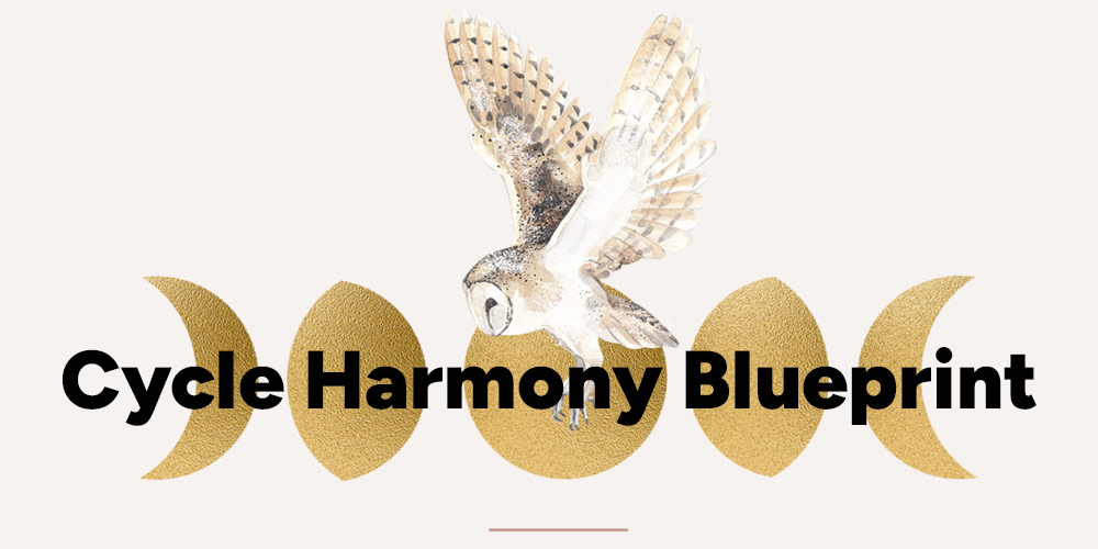 Cycle Harmony Blueprint course