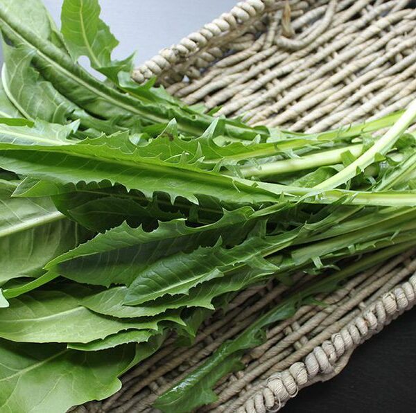 Garlic Sautéed Dandelion Greens