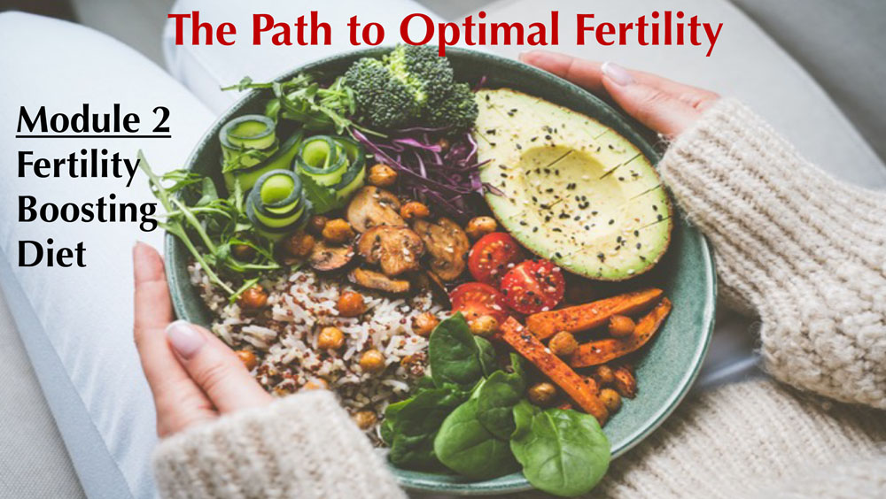 Module 2: Fertility Boosting Diet - the Path to Optimal Fertility
