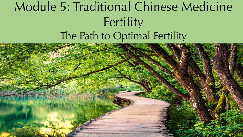 Module 5: Traditional Chinese Medicine Fertillity - The Path to Optimal Fertility