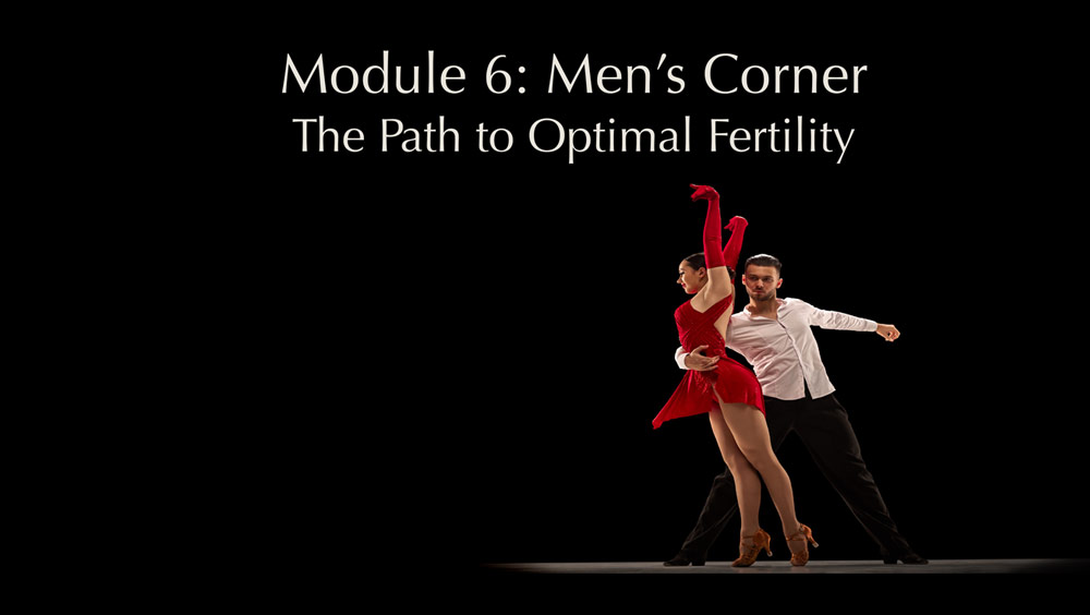 Module 6: Mens Corner - the path to optimal ferfility