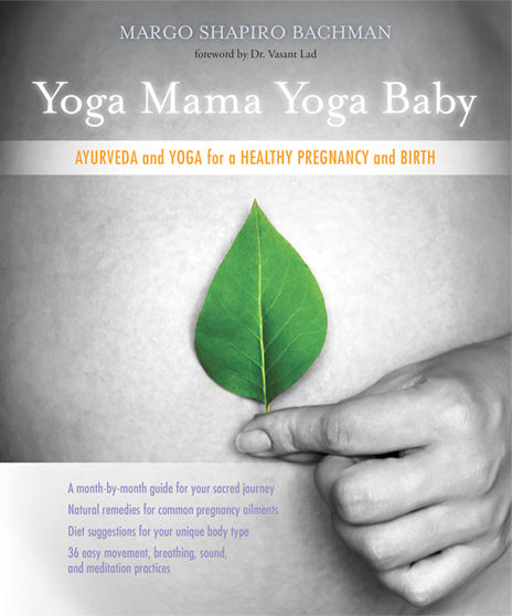Yoga Mama Yoga Baby book